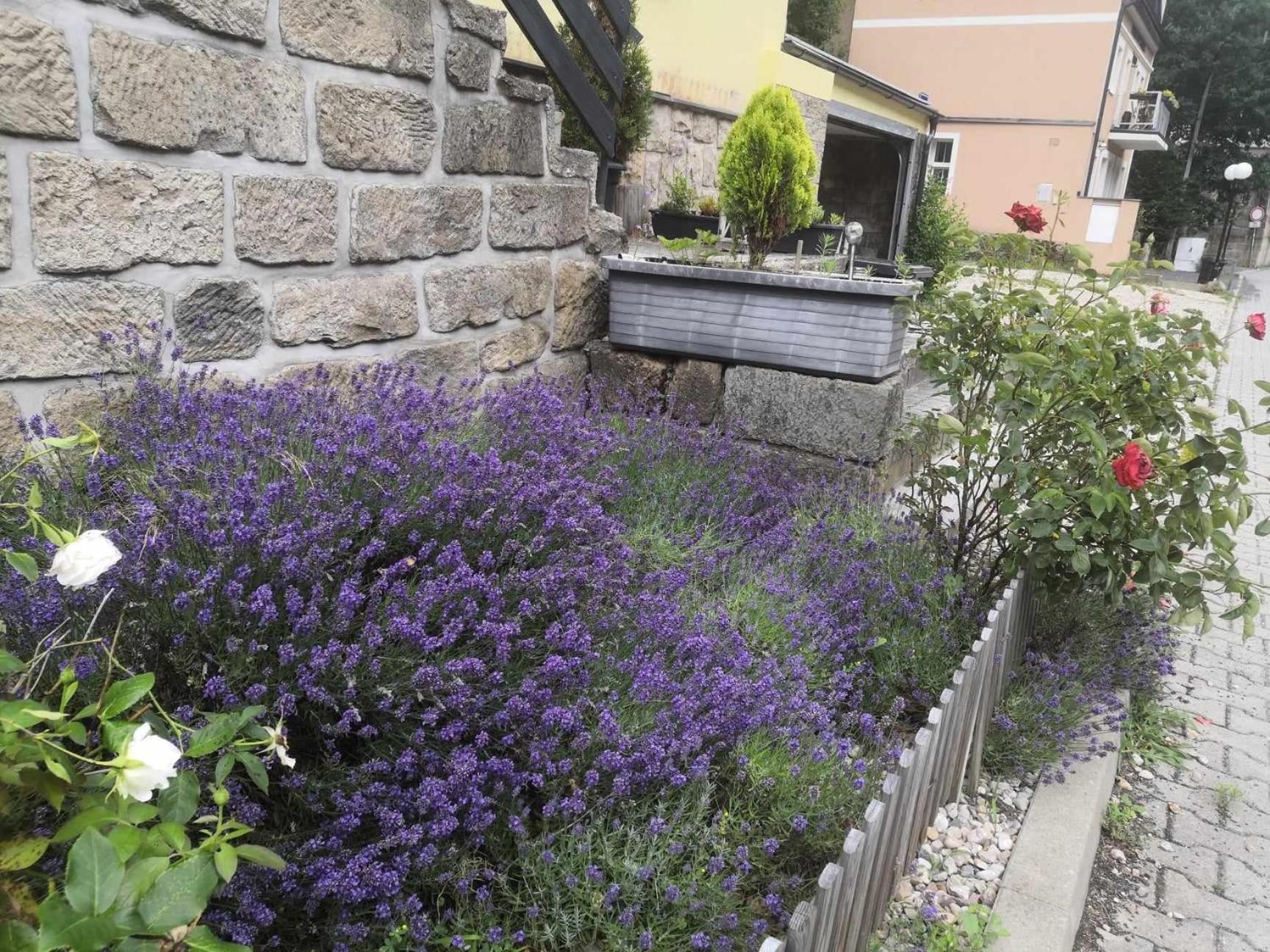 Apartamento Hrensko32 Exterior foto